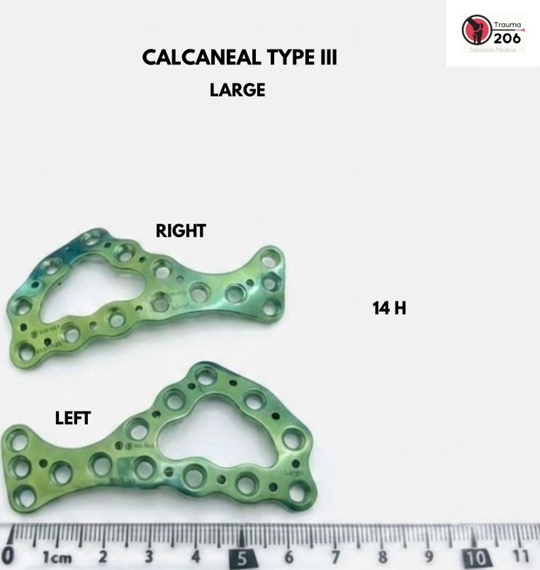 Calcaneal Type III Large en variantes Right y Left, 14H