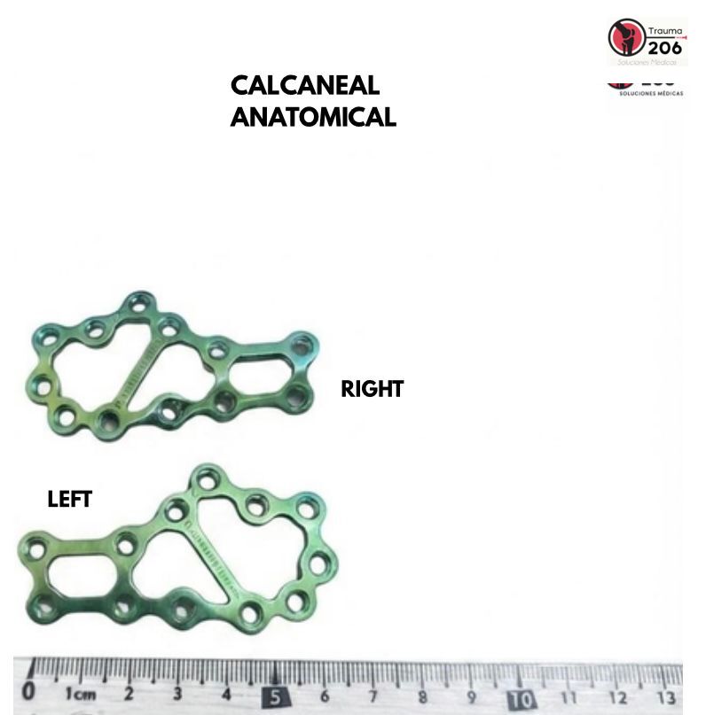 Calcaneal Anatomical en variantes Right y Left